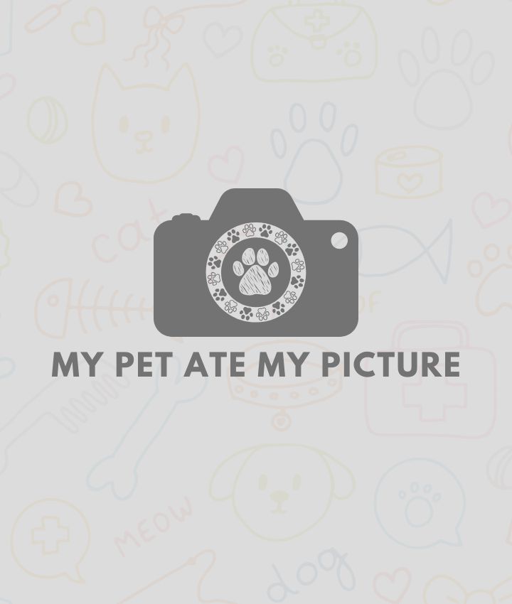 Portrait of Taylor Mattson