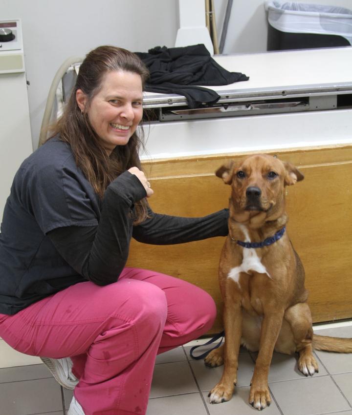 Experienced Veterinarians | Animal Hospital in Marietta